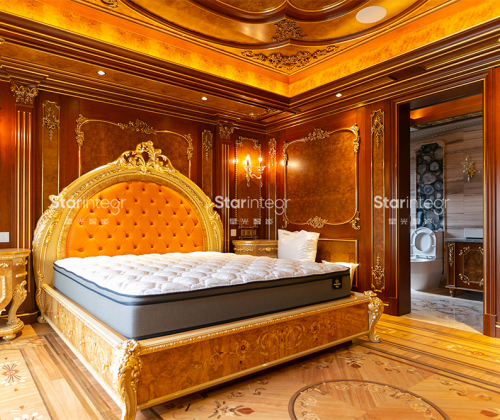 超级奢华豪宅案例